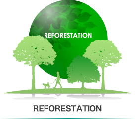 Reforestation